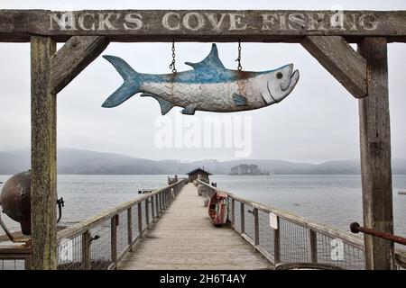 Nick's Cove a Tomales Bay, California. Foto Stock