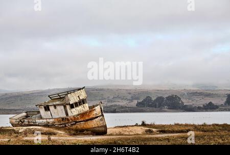 Naufragi a Tomales Bay, California Foto Stock