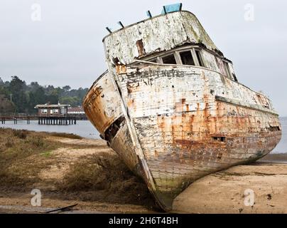 Naufragi a Tomales Bay, California Foto Stock