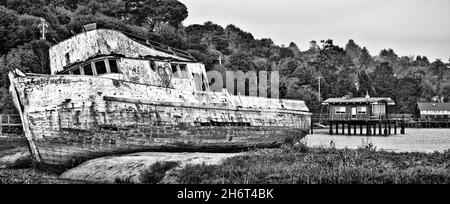 Naufragi a Tomales Bay, California Foto Stock