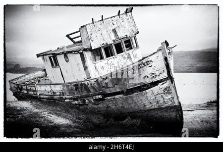 Naufragi a Tomales Bay, California Foto Stock