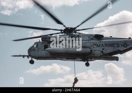 U.S. Marine Corps Sgt. David Edeh, un ingegnere di combattimento con Marine Wing Support Squadron (MWSS) 172, 1st Marine Aircraft Wing, corde veloci da un elicottero CH-53E Super Stallion durante un esercizio sul campo presso Jungle Warfare Training Center, Camp Gonsalves, Okinawa, Giappone, novembre 3, 2021. MWSS-172 ha tenuto questo esercizio al fine di dimostrare una prova di concetto per gli ascensori esterni, di sviluppare il concetto Expeditionary Advanced base Operations e di migliorare l’efficacia della lotta della società di ingegneria in un ambiente di guerra nella giungla. (STATI UNITI Corpo marino Foto di Lance CPL. Justin J. Marty) Foto Stock