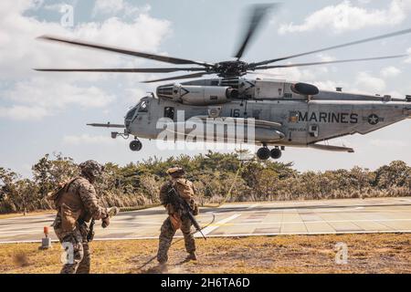 U.S. Marine Corps Sgt. David Edeh e Lance CPL. Michael Thollander, ingegneri di combattimento con Marine Wing Support Squadron (MWSS) 172, 1a Ala di aeromobili marini, tirare il gioco fuori di una corda dopo veloce rampicatura fuori di CH-53E Super Stallion elicottero durante un esercizio sul campo al Jungle Warfare Training Center, Camp Gonsalves, Okinawa, Giappone, 3 novembre, 2021. MWSS-172 ha tenuto questo esercizio al fine di dimostrare una prova di concetto per gli ascensori esterni, di sviluppare il concetto Expeditionary Advanced base Operations, e di migliorare l'efficacia di combattimento della società di ingegneria in un ambiente di guerra nella giungla Foto Stock