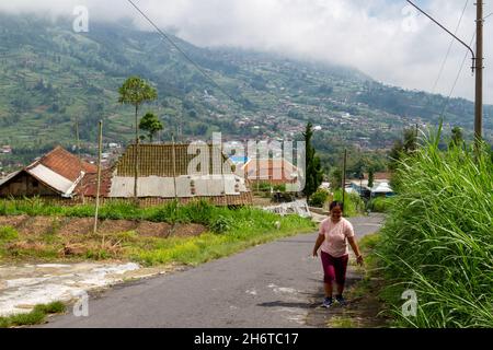 Attività escursionistiche nella zona dei sentieri escursionistici del Monte Merapi, dopo l'inizio di ridurre le restrizioni di attività a causa della pandemia COVID-19. Selo, Merapi Foto Stock