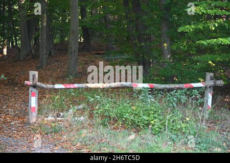 Nessuna barriera di passaggio sicurezza per gli alberi Foto Stock