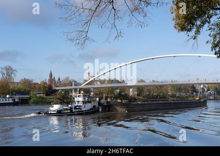 Spingere o rimorchiatore con un'auto sul retro spinge un pontile non semovente caricato o chiatta attraverso il Maas sotto il ponte 'Hoge Brug' a Maastricht Foto Stock