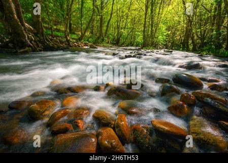 Massi rossastri nel torrente di un fiume nella catena montuosa di Ancares a Cervantes Lugo Galizia Foto Stock