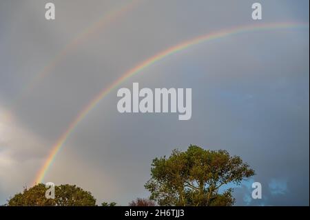 Doppio arcobaleno sugli alberi in una giornata di pioggia bagnata con nuvole grigie e cielo in autunno nel Regno Unito. Foto Stock