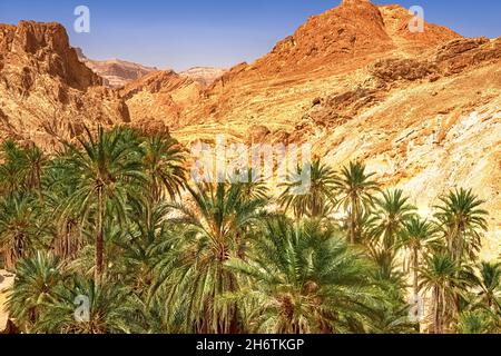 Vista dell'oasi di montagna di Shebika, nel mezzo del deserto del Sahara, Tunisia Foto Stock