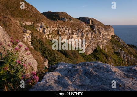 Nuovo terreno che domina West Bay il 20 luglio 2020 a Portland, Dorset nel Regno Unito. Foto di Sam Mellish Foto Stock