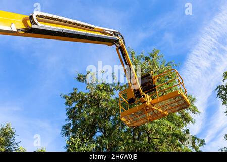 vista dal basso dell'ascensore giallo della piattaforma sugli alberi superiori del parco Foto Stock