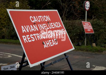 Grandi avvisi di zona di restrizione dell'influenza aviaria rossa sull'approccio alla Lower Quniton Warwickshire UK Foto Stock