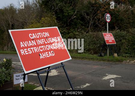 Grandi avvisi di zona di restrizione dell'influenza aviaria rossa sull'approccio alla Lower Quniton Warwickshire UK Foto Stock