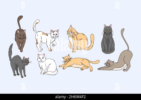 Varietà di gatti animali concetto. Set di gatti grigi bianchi e marroni che si allungano sedendosi distendendosi rilassandosi e godendo di illustrazione vettoriale della vita Illustrazione Vettoriale