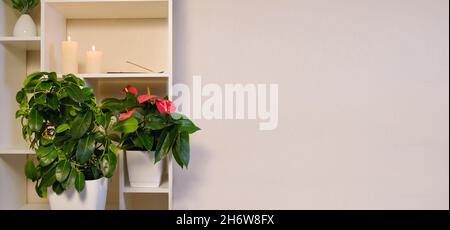 Interno di casa con una rastrelliera aperta con fiori e candele con spazio per il testo. Foto Stock