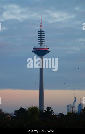 FRANCOFORTE, GERMANIA - 14 novembre 2021: La torre della televisione di Francoforte dopo il tramonto alla luce della sera. Parti dello skyline sullo sfondo e molti c Foto Stock