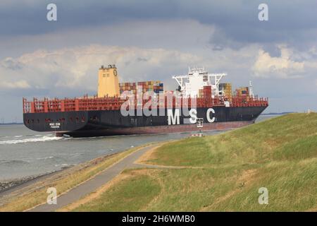 una grande nave da carico naviga attraverso il mare westerschelde lungo il verde del mare dal mare del nord verso anversa, sulla costa olandese in zeeland Foto Stock