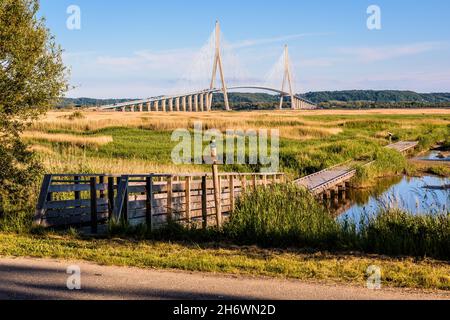 Passerelle sono allestite nelle zone umide intorno al ponte della Normandia, un ponte stradale sterrato sulla Senna che collega le Havre a Honfleur in Francia. Foto Stock
