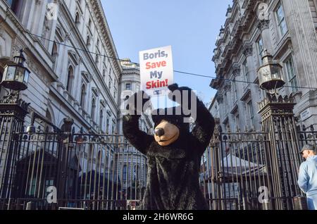 Londra, Regno Unito. 18 Nov 2021. Un attivista della PETA (People for the Ethical Treatment of Animals) vestito come orso tiene un cartello "Boris, Save My Skin" durante la protesta all'esterno di Downing Street. PETA sta chiedendo al governo di sostituire la pelliccia di orso usata nelle protezioni della regina con la pelliccia di faux fatta da ECOPEL. Può prendere la pelle e la pelliccia di un orso per fare solo un cappuccio. ECOPEL si è offerto di fornire gratuitamente la loro pelliccia sintetica al Ministero della Difesa fino al 2030. Credit: SOPA Images Limited/Alamy Live News Foto Stock