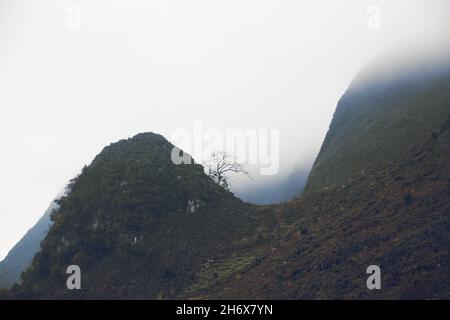 Nebbia fitta che scende sulle montagne carsiche in Dong Van Karst Plateau Geopark in Vietnam Foto Stock