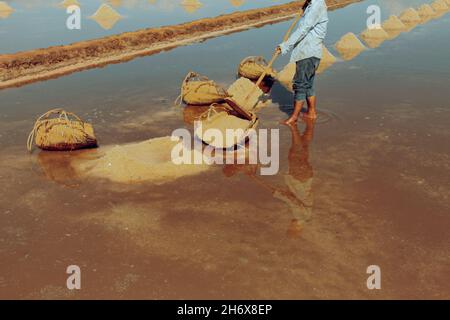 Una persona che raccoglie il sale tradizionalmente nei campi di sale famosi in Kampot, Cambogia Foto Stock