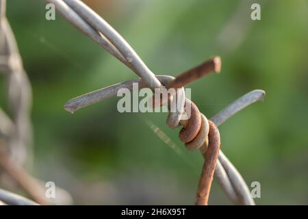 Primo piano di un filo spinato su uno sfondo sfocato Foto Stock