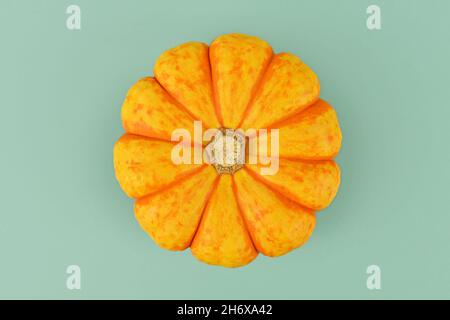 Zucca di Carnevale arancione e giallo su sfondo verde menta Foto Stock