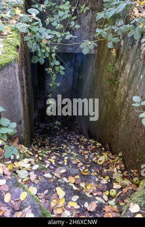 Stoumont, Belgio - 29 ottobre 2021. Joachim Peiper (SS-Obersturmbannführer) si dirottò in questo bunker a Cheneu durante la battaglia della Borge. Autunno nuvoloso Foto Stock