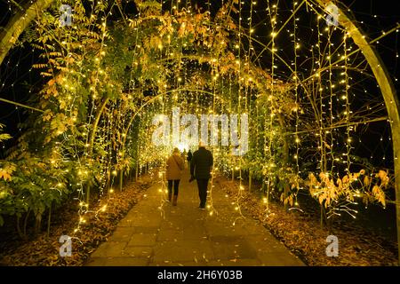 Il "Christmas Glow" si illumina al RHS Garden Wisley di Woking, Surrey. Data immagine: Giovedì 18 novembre 2021. Foto Stock