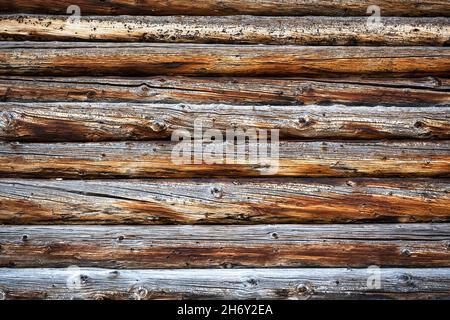 Legno naturale invecchiato tronchi di quercia sfondo. Struttura in legno naturale. Può essere utilizzato come sfondo naturale Foto Stock