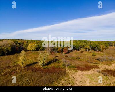 Veduta aerea dell'Arboreto della University of Wisconsin, Madison, Dane County, Wisconsin, USA, in un bel pomeriggio di giorno d'autunno. Foto Stock