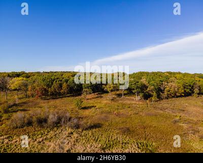 Veduta aerea dell'Arboreto della University of Wisconsin, Madison, Dane County, Wisconsin, USA, in un bel pomeriggio di giorno d'autunno. Foto Stock