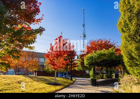 Splendido colore autunnale al John Hope Franklin Reconciliation Park, Tulsa, Oklahoma Foto Stock