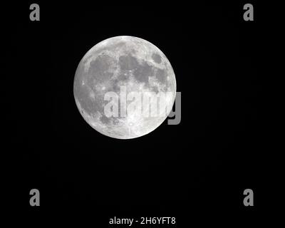 Sheerness, Kent, Regno Unito. 18 Nov 2021. UK Weather: La quasi piena Beaver Moon nel cielo notturno sopra Sheerness, Kent davanti all'eclissi parziale di domani. Credit: James Bell/Alamy Live News Foto Stock