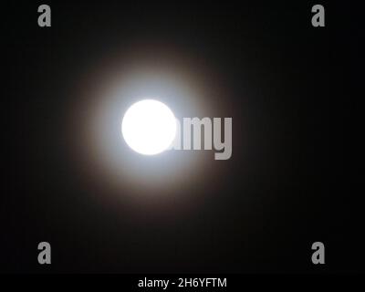 Sheerness, Kent, Regno Unito. 18 Nov 2021. UK Weather: La quasi piena Beaver Moon nel cielo notturno sopra Sheerness, Kent davanti all'eclissi parziale di domani. Credit: James Bell/Alamy Live News Foto Stock