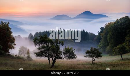 Un freddo momento invernale in un vecchio frutteto con un'atmosfera mistica come nel Giardino dell'Eden, Žilinský kraj, Slovensko, Horné Považie Foto Stock