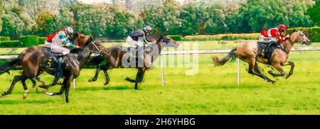 Pittura di jockey sui loro cavalli che corrono verso il traguardo in pista. Foto Stock