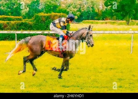 Jockey sui loro cavalli che corrono verso il traguardo in pista. Foto Stock