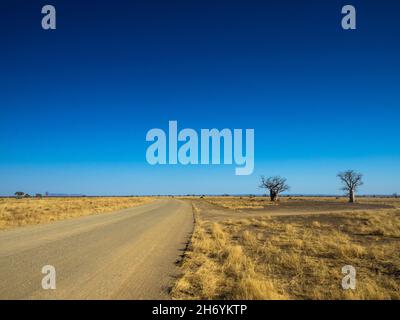 Mornington Road attraversando Savannah vicino a Glenroy, Kimberley, Australia Occidentale Foto Stock