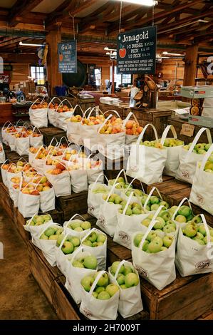 Mele Granny Smith, Jonagold e Gala in mostra per la vendita in una grande fattoria o mercato di campagna nel paese delle mele a Ellijay Georgia, Stati Uniti. Foto Stock