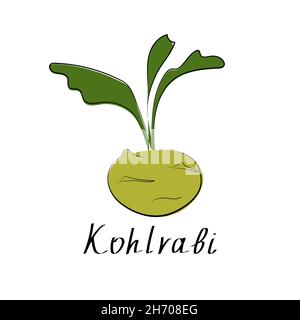 Icona Kohlrabi in stile piatto. Oggetto isolato. Logo cavolo. Oggetto isolato. Cibo vegetale biologico. Illustrazione vettoriale Illustrazione Vettoriale