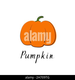 Icona colorata di zucca. Oggetto isolato. Cibo vegetale biologico. Illustrazione vettoriale Illustrazione Vettoriale