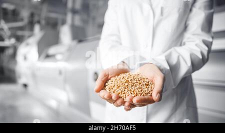 Primo piano operatore mani tiene grano per la produzione di farina bianca in mulino automatizzato moderno per il pane. Foto Stock