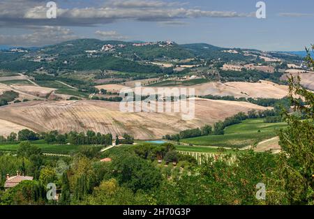 Montepulciano, Toscana, Italia. Agosto 2020. Paesaggio incredibile della campagna toscana. In cima alla collina il villaggio. Bella giornata estiva Foto Stock