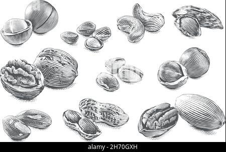 Set di dadi disegno a mano disegno schizzo incisione stile illustrazione Illustrazione Vettoriale