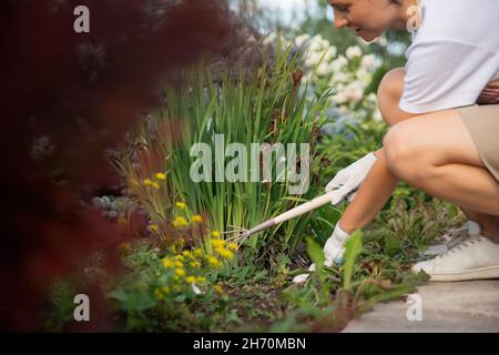 Donna lavora con mini rastrello in giardino, rimuove le erbacce, taglia attraverso piante e fiori. Foto Stock