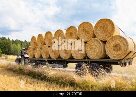 Balle di fieno accatastati sul rimorchio Foto Stock