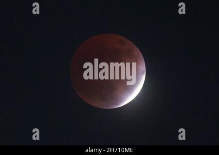 Tokyo, Giappone. 19 Nov 2021. Un'eclissi lunare quasi totale (parziale) visibile da Tokyo. Questa è la prima volta in 140 anni dal 6 dicembre 1881, che può essere visto da tutto il Giappone. Il prossimo sarà tra 65 anni, il 21 novembre 2086. Il 19 novembre 2021 a Tokyo, Giappone. (Foto di Kazuki Oishi/Sipa USA) Credit: Sipa USA/Alamy Live News Foto Stock