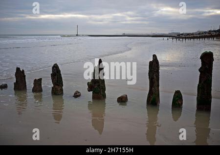 Vecchi pali di legno su una spiaggia vicino a Brighton, Inghilterra Foto Stock