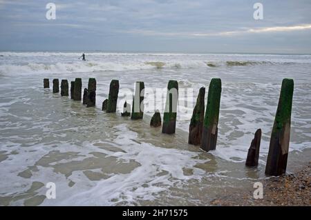 Vecchi pali di legno su una spiaggia vicino a Brighton, Inghilterra Foto Stock